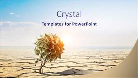  Presentation with media - Presentation design featuring make-your-income-grow-mixed background and a sky blue colored foreground