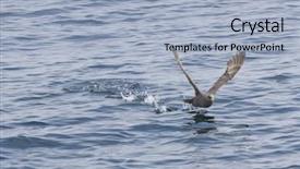  Presentation with southern beach grass - Beautiful slide deck featuring makes the acceleration before takeoff backdrop and a  colored foreground