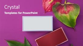  Presentation with makeup products - Colorful slide set enhanced with makeup-cosmetic-products-on-vivid backdrop and a coral colored foreground