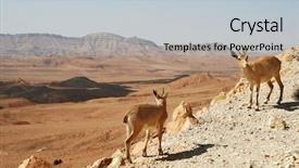  Presentation with cliff - PPT theme consisting of makhtesh ramon in negev desert background and a light gray colored foreground