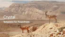  Presentation with cliff - Presentation theme with makhtesh ramon in negev desert background and a coral colored foreground