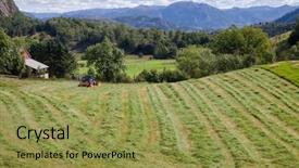  Presentation with rural - Amazing PPT theme having making windrows of freshly cut backdrop and a gold colored foreground