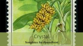  Presentation with banana tree - Amazing theme having malaysia-circa-1980-a-stamp backdrop and a yellow colored foreground