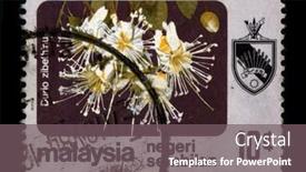  Presentation with fruit tree - Slide deck with funny prison inmate in concept background and a gray colored foreground