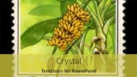  Presentation with banana tree - PPT theme enhanced with malaysia-circa-1980-a-stamp background and a yellow colored foreground