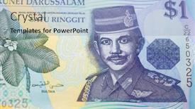  Presentation with ringgit malaysia - Presentation theme featuring malaysian-ringgit-note-depicting-tuanku background and a light blue colored foreground