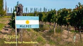  Presentation with plantation - Colorful slide deck enhanced with malbec-grape-plantation-in-argentina backdrop and a tawny brown colored foreground