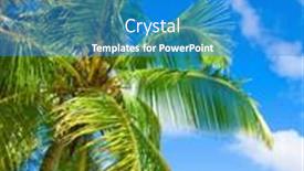  Presentation with nature - Cool new PPT theme with maldivian-beauty-in-nature backdrop and a teal colored foreground