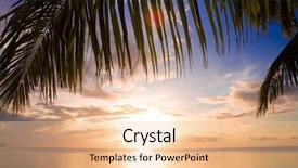  Presentation with sunset at venice beach palm - Audience pleasing presentation theme consisting of maldivian sunset under palms backdrop and a lemonade colored foreground