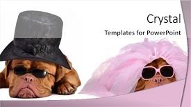  Presentation with black male female fashion - Audience pleasing slides consisting of male and a female dogue backdrop and a  colored foreground