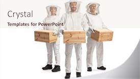  Presentation with bee - PPT theme enhanced with male-and-female-bee-keepers background and a lemonade colored foreground