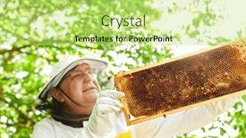  Presentation with human anatomy male muscles - Slide set enhanced with male-apiarist-holding-honeycomb background and a yellow colored foreground