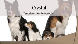  Presentation with border - PPT theme having photo redheaded girl with a cup in his hand background and a gray colored foreground