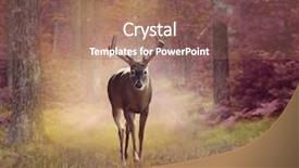  Presentation with mangrove forest mangrove in asia - Amazing PPT layouts having male deer in autumn forest backdrop and a coral colored foreground