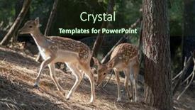  Presentation with deer - PPT theme with male-deer-with-big-horn background and a  colored foreground