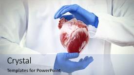  Presentation with medical heart - Amazing presentation theme having  backdrop and a  colored foreground
