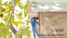  Presentation with eastern - Audience pleasing slides consisting of closeup sensual tender mom and sleep baby backdrop and a lemonade colored foreground