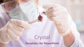  Presentation with lab - Slides enhanced with male-entomologist-working background and a sky blue colored foreground