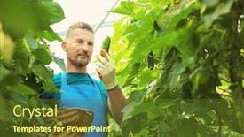  Presentation with greenhouse - Cool new slides with male farmer working in greenhouse backdrop and a tawny brown colored foreground