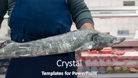  Presentation with sturgeon - Presentation theme having male-fishmonger-or-fish-market background and a navy blue colored foreground