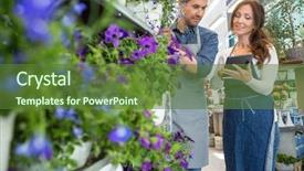  Presentation with female male symbol - Presentation design enhanced with male florist looking at female background and a tawny brown colored foreground