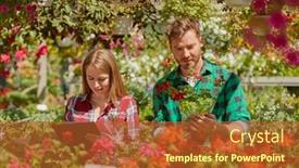  Presentation with paperwork - PPT layouts featuring male gardener standing with potted flower while female coworker doing paperwork in the garden background and a red colored foreground