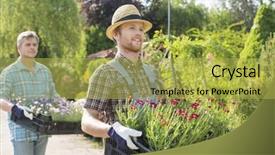  Presentation with nursery plant - Audience pleasing slides consisting of male gardeners walking while carrying flower pots in crates at plant nursery backdrop and a yellow colored foreground