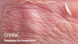  Presentation with skin - PPT theme having male grip with skin background and a coral colored foreground
