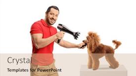  Presentation with poodle - Slide set having male-groomer-blow-drying background and a coral colored foreground