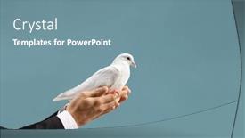  Presentation with white dove - Theme consisting of male-hand-holding-a-white background and a seafoam green colored foreground