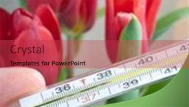  Presentation with hand holding flowers - PPT theme featuring male-hand-holding-analog-medical background and a red colored foreground