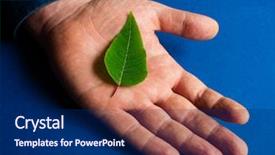  Presentation with water rain drop hanging on a fresh green leaf - Slide deck consisting of male hand symbol of hope background and a navy blue colored foreground