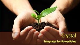  Presentation with black wedding holding hands - Audience pleasing PPT theme consisting of male hands holding soil and plant on black background backdrop and a tawny brown colored foreground