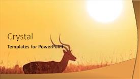  Presentation with oat - Audience pleasing presentation theme consisting of male-impala-grazing-at-sunrise backdrop and a yellow colored foreground