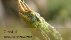  Presentation with percy jackson - Beautiful presentation theme featuring  backdrop and a  colored foreground