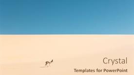  Presentation with landscape desert - Presentation theme with male-of-black-faced-impala background and a lemonade colored foreground