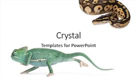  Presentation with old young - Slides featuring male pastel calico royal background and a  colored foreground