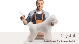  Presentation with pet grooming - Slides with male-pet-groomer-holding-scissors background and a soft green colored foreground