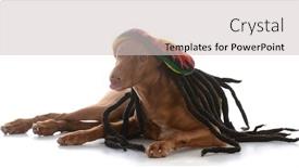  Presentation with egyptian pharoah - Audience pleasing presentation consisting of male-pharoah-hound-wearing-rastafarian backdrop and a light gray colored foreground