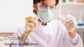  Presentation with drug poison - Cool new PPT theme with male-scientist-extracting-poison backdrop and a lemonade colored foreground