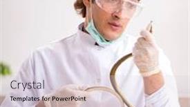  Presentation with drug poison - Beautiful PPT layouts featuring male-scientist-extracting-poison backdrop and a lemonade colored foreground