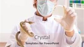  Presentation with drug poison - Colorful slide set enhanced with male-scientist-extracting-poison backdrop and a coral colored foreground