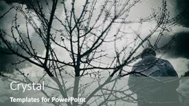  Presentation with dark forest - Slides having male-silhouette-of-a-lone background and a gray colored foreground
