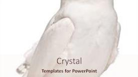  Presentation with old - Colorful slide deck enhanced with male-snowy-owl-bubo-scandiacus backdrop and a lemonade colored foreground