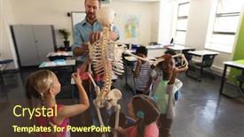  Presentation with elementary - Cool new theme with male-teacher-explaining-skeleton-model backdrop and a tawny brown colored foreground