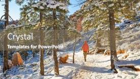  Presentation with traveler - 