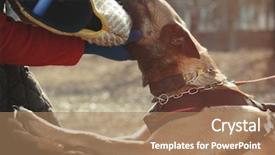  Presentation with training - PPT theme consisting of malinois - training of working dog outdoors background and a coral colored foreground