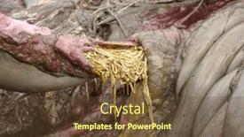  Presentation with sunset beach - Presentation design enhanced with malnourished-body-of-a-12 and a tawny brown colored foreground