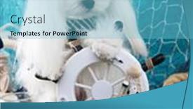  Presentation with marine - Slide deck with maltese-lapdog-in-a-sailor background and a light blue colored foreground