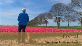  Presentation with dog - Cool new slides with man-and-dog-looking backdrop and a coral colored foreground